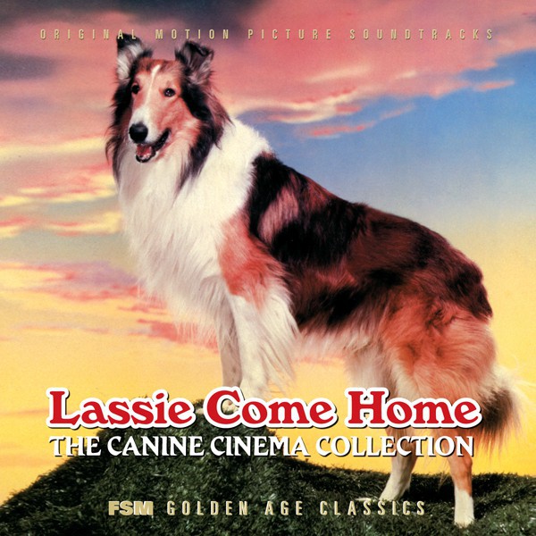 The Story Of Lassie  The Hollywood Collection 